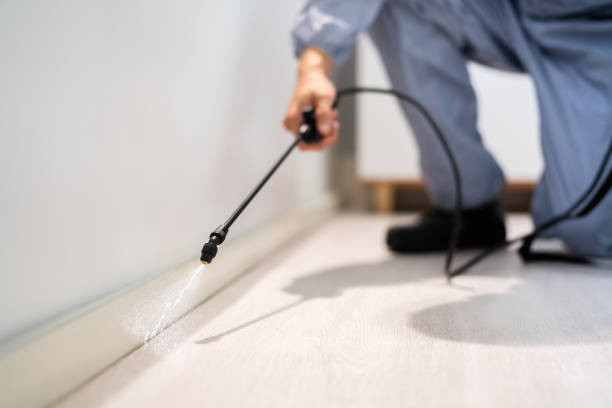 Professional exterminator conducting IPM assessment in Bridgeport